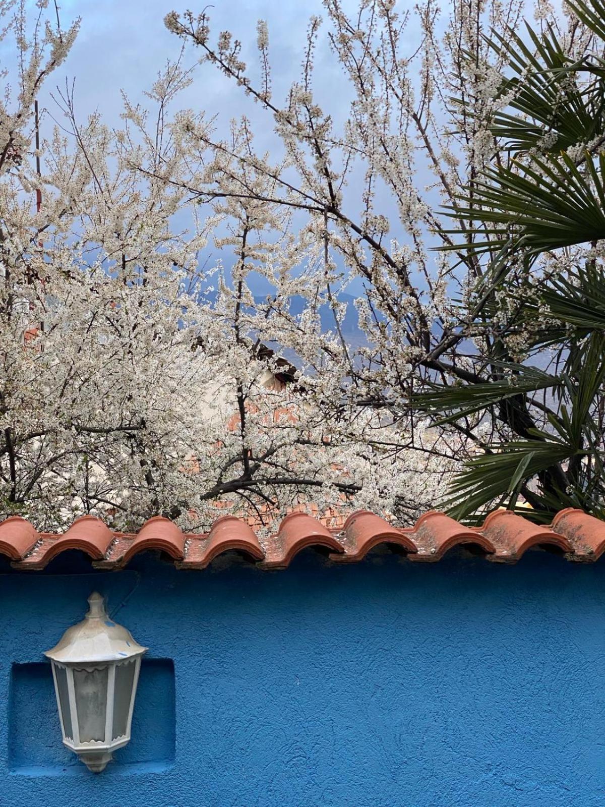 Blue Orange Lake Hostel Ohrid Ngoại thất bức ảnh
